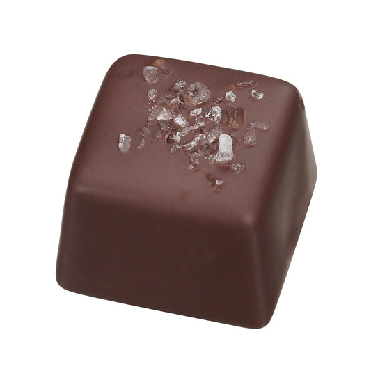 Neptune - Caramel sea salt in dark chocolate 12.5g