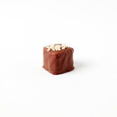 Praline Hazelnut - milk chocolate covered coconut praline 15g