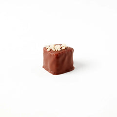 Praline Hazelnut - milk chocolate covered coconut praline 15g Jag Couture London - New York