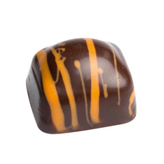 Safari - orange flavoured praline in dark chocolate 18.2g