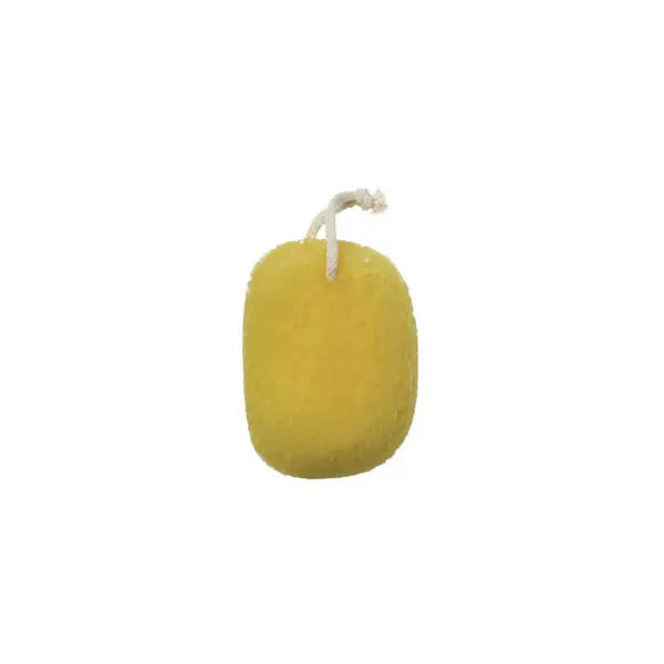 Beter Sea Sponge Imitation Jag Couture London - New York
