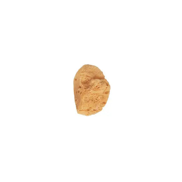 Beter Small Natural Sea Sponge Jag Couture London - New York