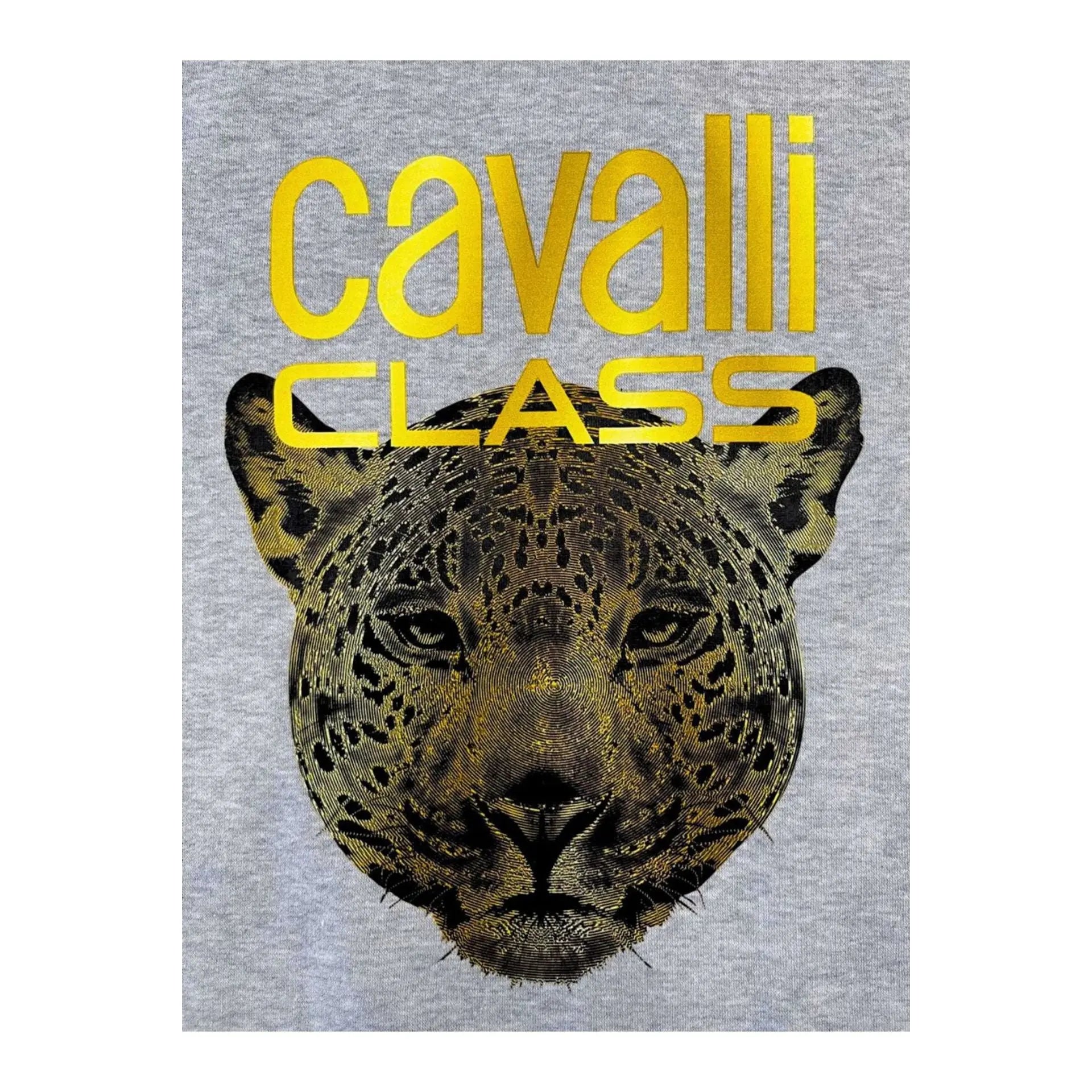 Cavalli Class QXT67ZCF062_05014GreyMelange Jag Couture London - New York