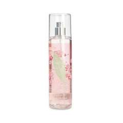 Elizabeth Arden Cherry Blossom Mist 236ml Jag Couture London - New York