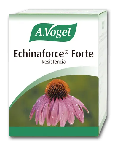 Jag Couture London - New York Vogel Echinaforce Forte 30 Comp